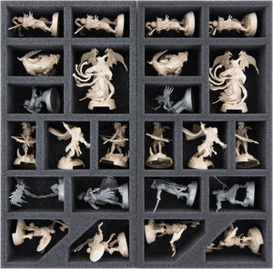 Feldherr foam set + Organizer Inserts for Descent: Legends of the Dark - The Betrayer's War - board game box