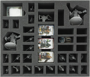 BG065CO02 65 mm foam tray for the Conan Expansion: Nordheim