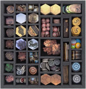 Feldherr foam set for the Gloomhaven board game box + Magnetic Box for miniatures