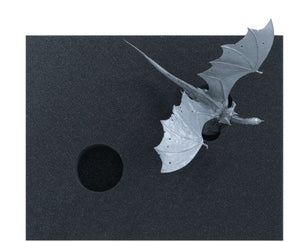 Feldherr foam tray set for Middle-earth Strategy Battle Game: 2 x Winged Nazgûl