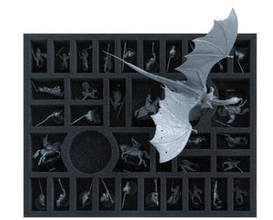 Feldherr foam tray set for Middle-earth Strategy Battle Game: 2 x Winged Nazgûl