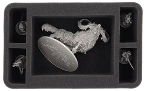 HS105A116 Feldherr foam tray for Kingdom Death: Screaming God  - 5 compartments