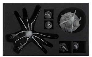 Feldherr foam tray set for KDM Wave 1 + 2: Spidicules, Sunstalker and small monsters