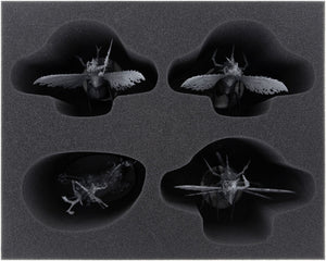 Feldherr MAXI bag for Start Collecting: Daemons of Nurgle