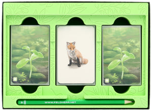 Feldherr Organizer Insert for Forest Shuffle - core game box
