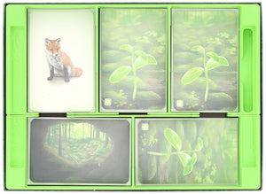 Feldherr Organizer Insert for Forest Shuffle + Expansions - core game box