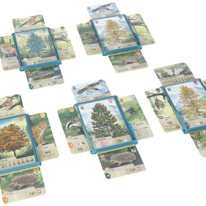 5 pcs value set Feldherr card tray for Forest Shuffle - Tree Cards